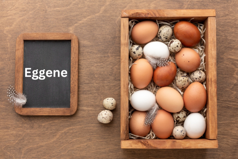 Eggene! Unveiling The Linguistic Marvel Of Pluralizing Eggs