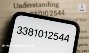 3381012544