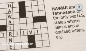 Hawaii And Tennessee NYT Crossword