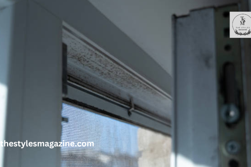 Mold Exposure At Home: What You Can’t See Can Hurt You