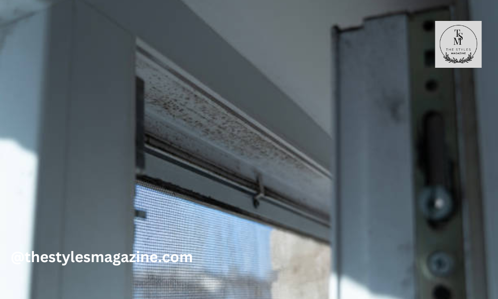 Mold
