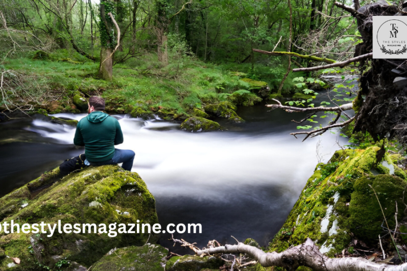 Best certification For Forest Therapy And Forest Bathing And Nature Therapy