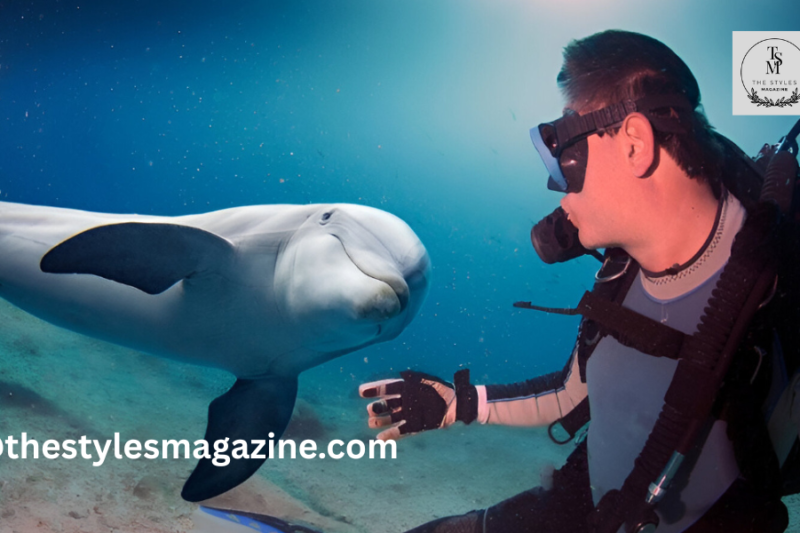 Dolphin House & Beyond: Your Marsa Alam Diving Adventure With Deep South Divers