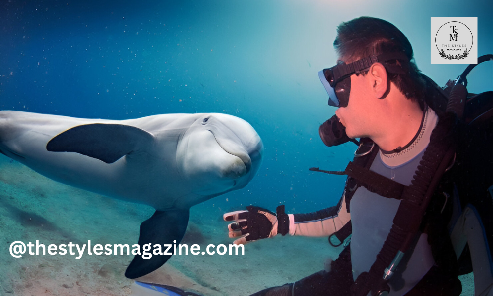 Marsa Alam diving