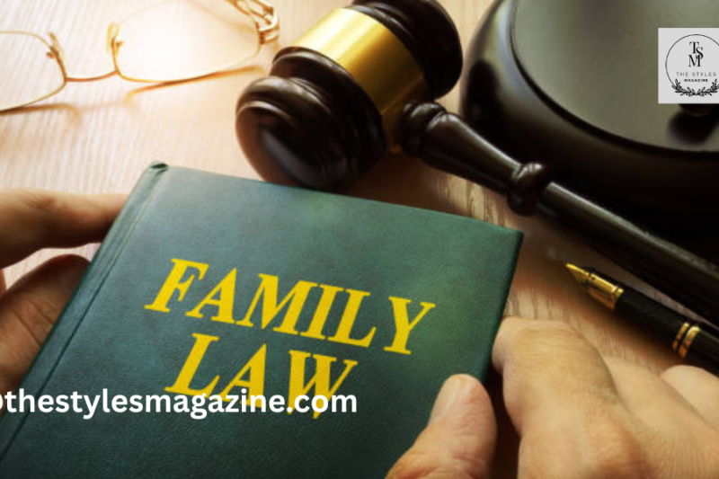 What Cases Does A Family Lawyer Handle?