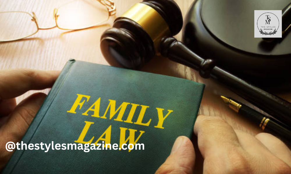 Family Lawyer