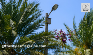 Self Cleaning Street Light Palm Oil